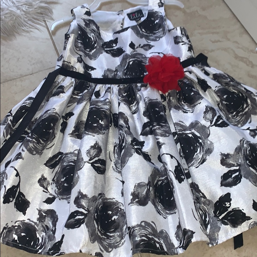 Brand New Girl Dress